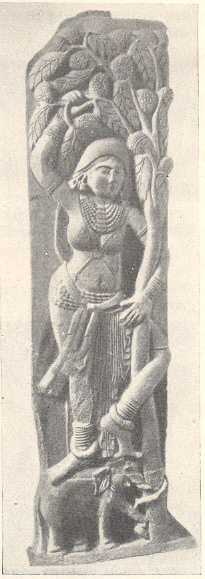 यक्षी (कुललोक देवता) : भारहूतच्या स्तूपावरील उत्थित शिल्प, मध्य प्रदेश, भारत, इ.स.पू. १८५-७२