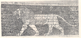 इश्तारद्वारमार्गावरील १२० सिंहांच्या शिल्पपट्टांतील एक शिल्प, बॅबिलन, इ.स.पू. ६०४-५६२.