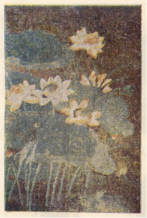 कमलपुष्पांकित रेशमी भित्तिशोभित,चीन,१३-१४ वे शतक.