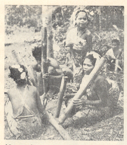वैशिष्टपूर्ण बांबू वाद्यांच्या तालांवर नृत्य करणारी आदिवासी बालिका