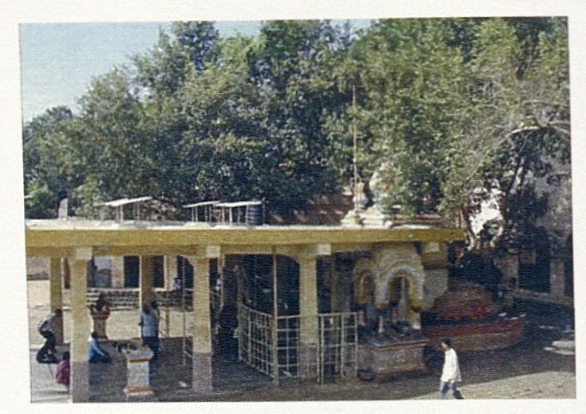 श्री दत्तपादुका मंदिर : औदुंबर.