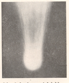 हॅली धूमकेतूचे ८ मे १९१० रोजी घेतलेले छायाचित्र. यात शिखा व पुच्छाचा प्रारंभीचा भाग स्पष्ट दिसत आहे.