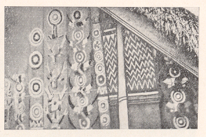 नागांच्या पारंपरिक चित्राकृतींनी सजविलेला घराचा दर्शनी भाग