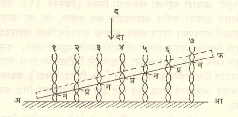 आ. ३०. वायनर प्रयोग : अआ—आरसा फ—छायाचित्रण फिल्म न—निस्पंद बिंदू प्र—प्रस्पंद बिंदू ददा—आपाती किरणांची दिशा १, २, ३, ४, ..... अप्रगामी तरंग. 