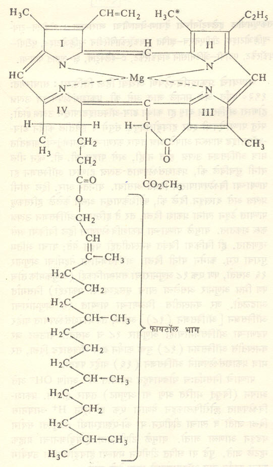 क्लोरोफिल ए ची रासायनिक संरचना (क्लोरोफिल बी च्या संरचनेत क्लोरोफिल ए च्या संरचनेतील तारांकित CH3 गटाच्या जागी CHO गट आहे बाकी संरचना क्लोरोफिल ए प्रमाणेच आहे).