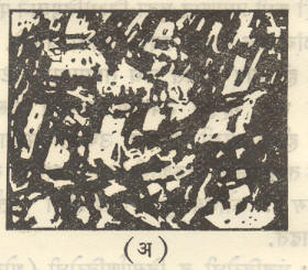 आ. १८. मार्टेन्साइट प्रावस्था व तिची कठिनता : (अ)सूक्ष्मदर्शकातून दिसणारी संरचना. 
