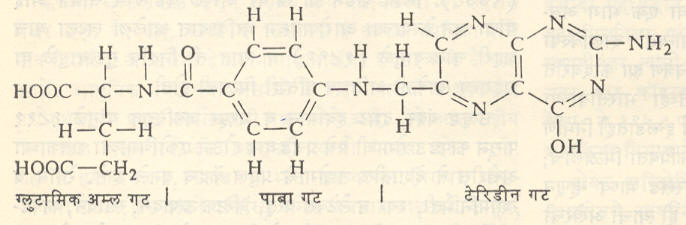 फॉलिक अम्ल (टेरॉइलग्लुटामिक अम्ल)