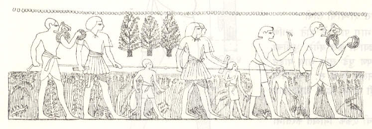 आ. २. गाठी मारलेल्या दोरीच्या साह्याने जमिनीची मोजणी (इ. स. पू.सु. १४०० मधील थीब्झ येथील एका थडग्यावरील भित्तिचित्र). 