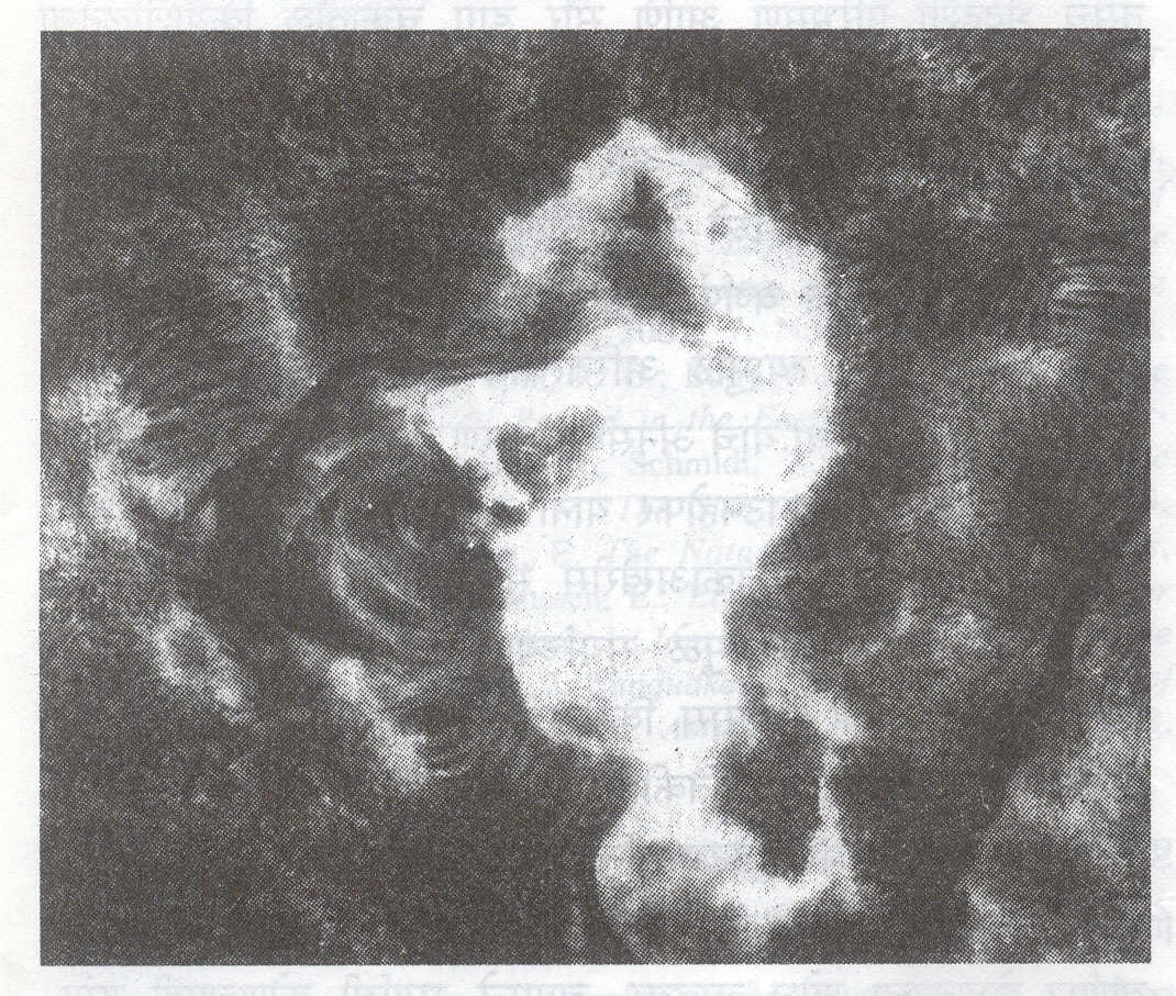 आ. ४. सागरी घोडामाशासारखा आकार असलेली सौर उज्ज्वाला (बिग बिअर सोलर ऑब्झर्व्हेटरीने ७ ऑगस्ट १९७२ रोजी घेतलेले छायाचित्र).