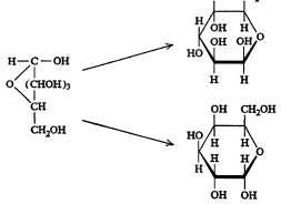 सूत्र २५. ग्लुकोजाचे रेणुसूत्र व त्याची त्रिमितीय मांडणी