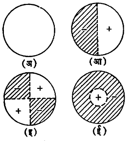 आ. ८ . ताणलेल्या पटलाच्या कंपनाचे चार मुख्य प्रकार : (अ) मूलकंप्रता (आ, इ, ई) संनादी कंप्रता --- निःस्पंद रेषा, + वर येणारा भाग, -त्याच वेळी खाली जाणारा भाग. 