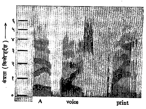आ. १९. A voice print या शब्दांच्या उच्चाराचा ध्वनि-वर्णपट (वाणीमुद्रा).