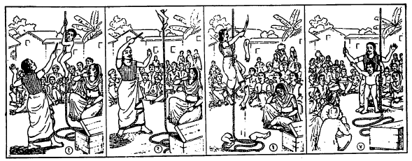इंडियन रोप ट्रिक : (१) जादूगाराने उभ्या केलेल्या दोरावर मुलगा चढत आहे, (२) मुलगा अदृश्य होताना, (३) दोरावर चढून जादूगार अदृश्य मुलाचे अवयव सुरीने तोडत असताना, (४) तुटलेले अवयव पेटीत घालून जादूगार मुलाला परतण्याचे आवाहन करतो व त्यानुसार मुलगा प्रेक्षकांसमोर प्रकट होतो.