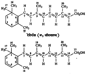 डीहायड्रोरेटिनॉल (अ२ जीवनसत्त्व)