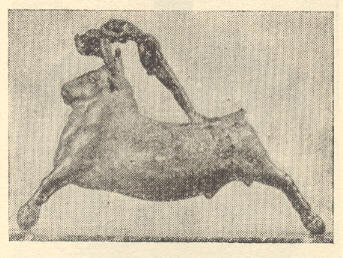 मिनोअन समाजातील बैलांवरील खेळ दर्शविणारी ब्राँझची मूर्ती, इ.स.पू. ३००० ते १०००.