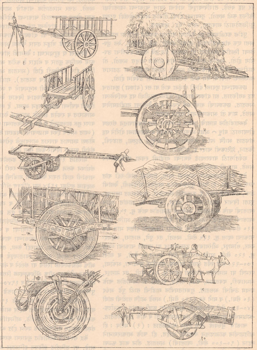  आ. ३. बौलगाड्यांचे व त्यांच्या चाकांचे काही प्रकार : (१) महाराष्ट्रातील त्रिज्यीय आऱ्यांच्या चाकांची गाडी, (२) आरेरहित भरीव चाकांची गाडी (रांची जिल्हा, बिहार), (३) त्रिज्यीय आऱ्यांच्या चाकांची गाडी (तिरुचिरापल्ली जिल्हा, तमिळनाडू), (४) त्रिज्यीय आऱ्यांचे चाक (पालघाट जिल्हा, केरळ), (५) त्रिज्यीय आऱ्यांचे चाक व कण्याला जोडलेली दांडी (जुनागड जिल्हा, गुजरात), (६) आऱ्यांच्या चार जोड्या सलेले चाक (अहमदबाद जिल्हा, गुजरात), (७) कण्याला जोडलेली वैशिष्ट्यपूर्ण दांडी (भरतपूर जिल्हा, राजस्थान), (८) आऱ्यांच्या सहा जोड्या असलेल्या चाकांची गाडी (सिंगभूम जिल्हा, बिहार), (९) लहान आकारमान, आखूड आरे व रुंद पाटा असलेले चाक (जैसलमीर जिल्हा, राजस्थान), (१०) जाड त्रिज्यीय आऱ्यांचे चाक व वर वक्राकार बैठक असलेली गाडी (चितोडगड जिल्हा, राजस्थान).