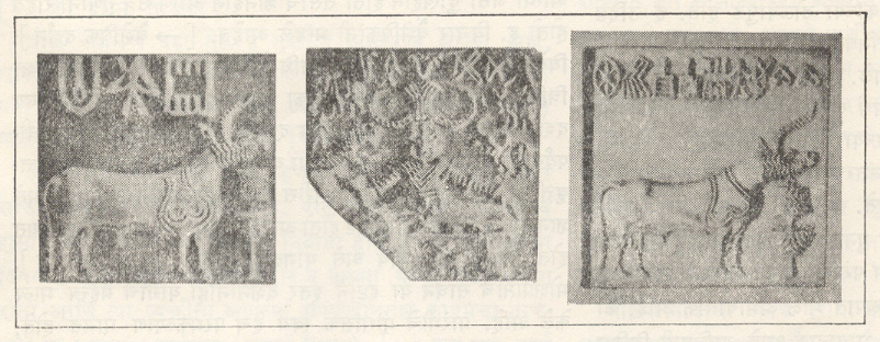 मोहें-जो-दडो लिपीतील मद्रालेखांचे काही नमुने, सिंधू, संस्कृती.