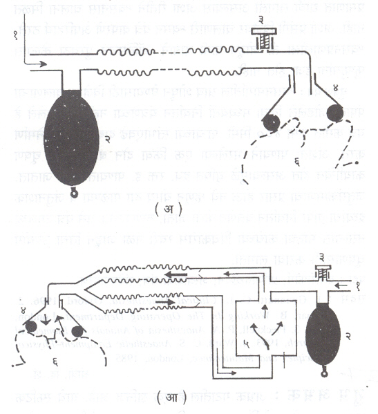 श्वसनप्रणालीची रचना दाखविणारी दोन उदाहरणे : (अ) मेपलसन ए प्रणाली : हिच्यातील विविध घटकांच्या जागा एकमेकींच्या संदर्भात बदलून इतर प्रणाली तयार होतात (आ) वर्तुळ प्रणालीतील घटक : (१) शुद्धिहरण यंत्राकडून ताजे वायुमिश्रण घेणारे द्वार, (२) रबरी साठवण पिशवी, (३) उच्छ्‌वसन झडप, (४) मुखवटा, (५) सोडा-लाइम पात्र, (६) चेहरा.
