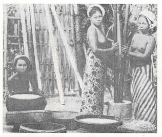 भात कांडणाऱ्या युवती, बाली