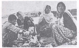 इराणमधील भटक्या जमातीचे लोक.