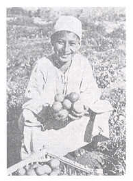 एक तरुण ईजिप्शियन किसान