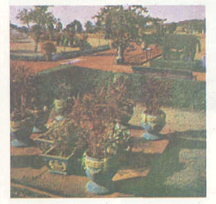 बंगलोर येथील एक उद्यान
