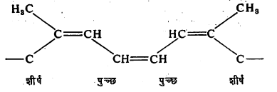 सूत्र २. आयसोप्रिनाच्या दोन रेणूंच्या एक प्रकारची जोडणी