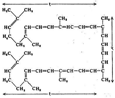 सूत्र. ३. लायकोपीन या द्रव्यात असलेली कॅरोटिनॉइड रेणूची मूलभूत रचना (१) शीर्षास पुच्छ असे जोडलेले तीन आयसोप्रिनाचे रेणू, (२) पुच्छ-पुच्छ पद्धतीने जोडलेले दोन आयसोप्रिनाचे रेणू.