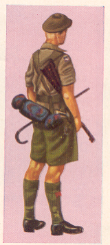 कोरियन युद्धदलातील अधिकारी, १९५०-५३