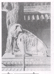 प्राचीन राडवाड्यातील हत्तीची शिल्पाकृती, पीकिंग (फॉरबिडन सिटी)