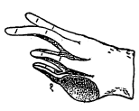 आ. ४. राना एस्क्युलेंटा जातीच्या बेडकाच्या पुढच्या उजव्या पायाच्या अंगठ्यावरील ग्रंथी : (१) ग्रंथी.
