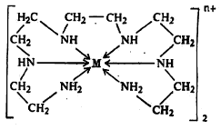 सूत्र ४ पेंटाएथिलीन हेक्झामीन