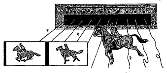 आ. ३. पळणाऱ्या घोड्याची छायचित्रे घेण्याची एडवर्ड माइब्रिज यांची पद्धत : (१) अंतरा-अंतरावर ठेवलेले कॅमेरे, (२) घोड्याच्या मार्गात ताणून धरलेल्या बारिक दोऱ्या.